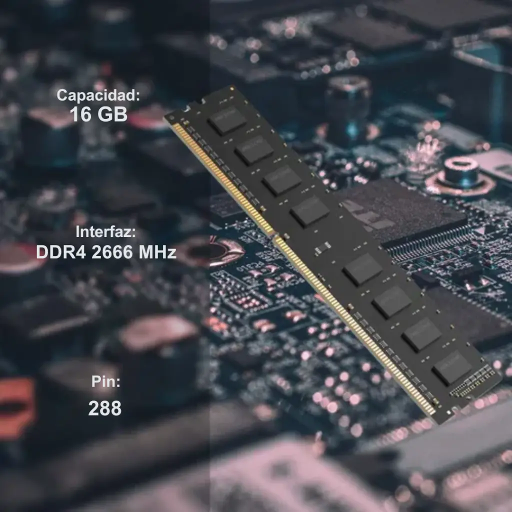 PRODUCTOS - 2025-12-16T105952.746.webp