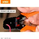 Actualizacion de datos de productos  - 2026-01-13T160449.217.webp