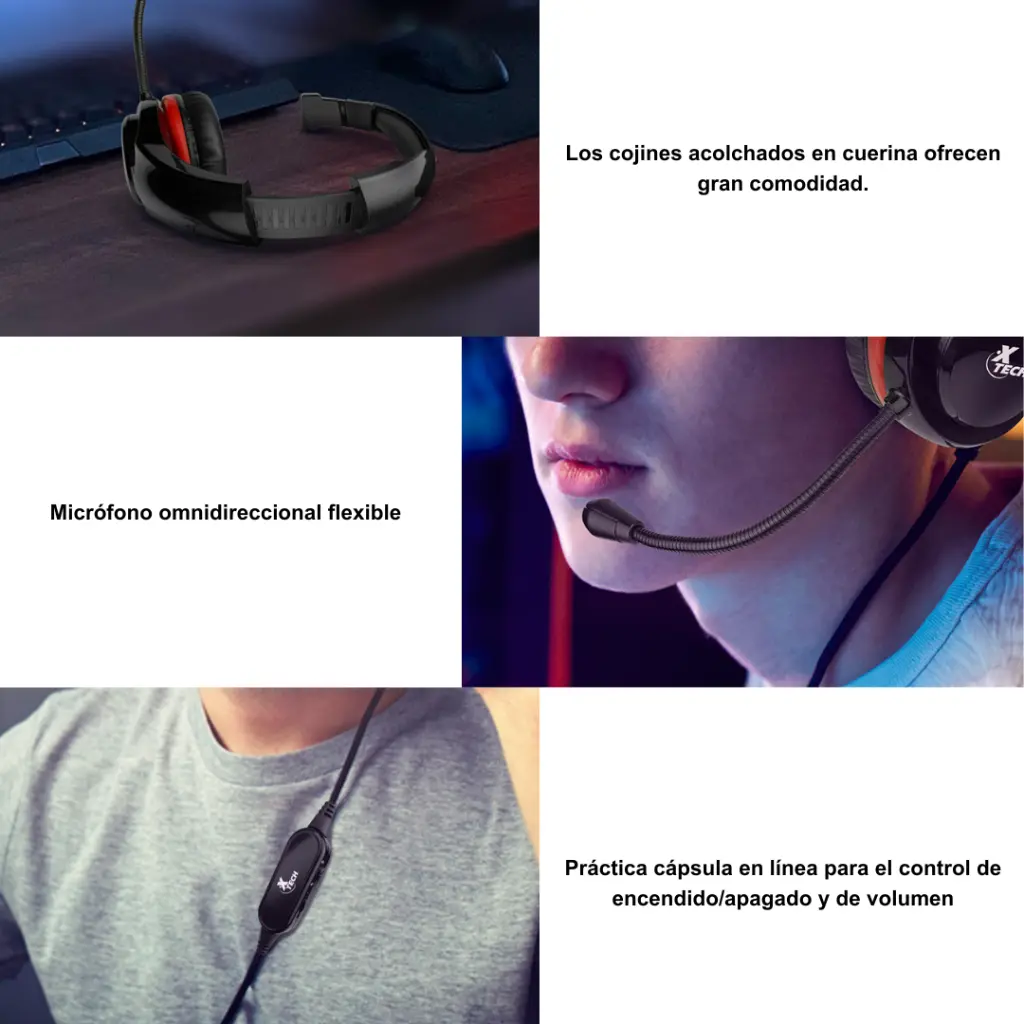 PRODUCTOS G. - 2026-03-06T152439.272.webp